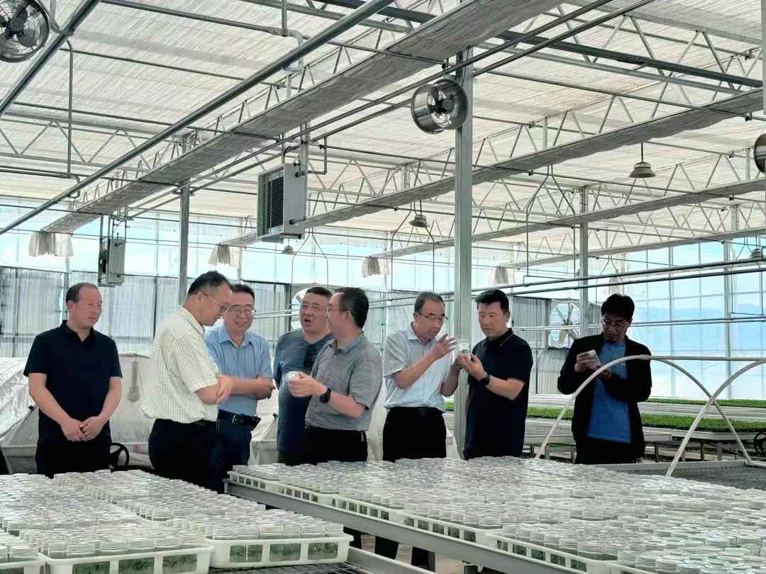 省林草局调研组深入平凉市调研国有林场助力“三北”工程建设工作